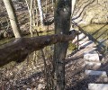 Flutgraben bei Joshofen